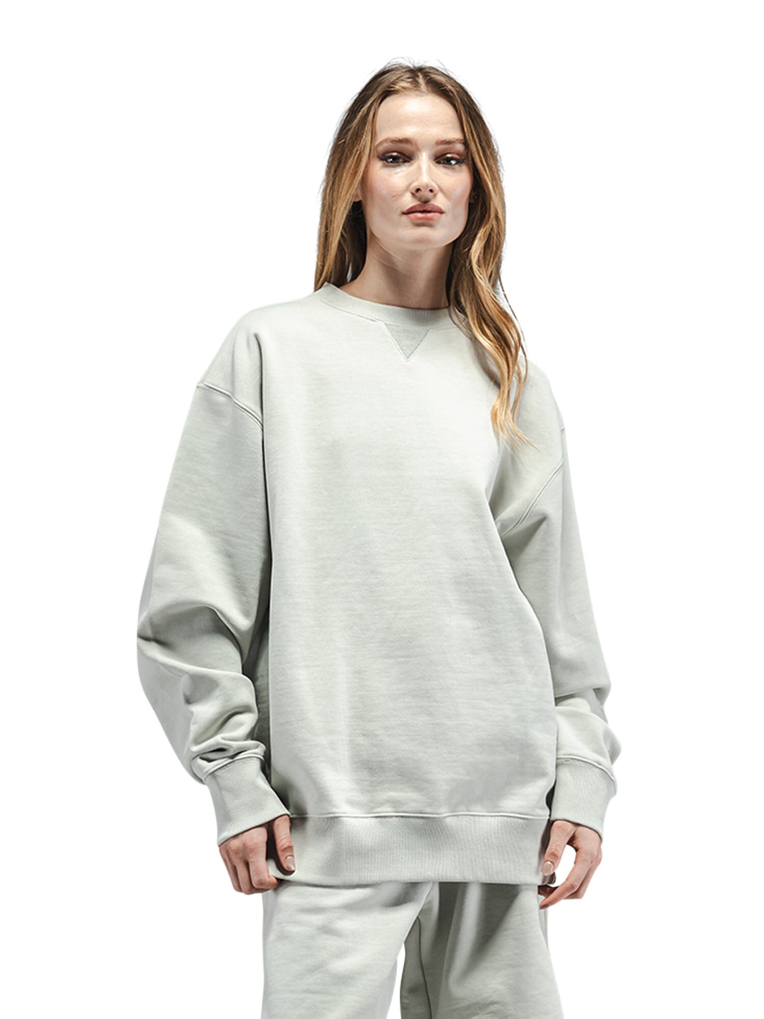 Alpha Industries Essential French Terry Crewneck Gen Ii, light gray, French terry cotton, crewneck design.