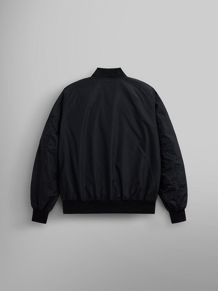 L-2B Skymaster Gen II Bomber Jacket, Alpha Industries, black nylon, back view.