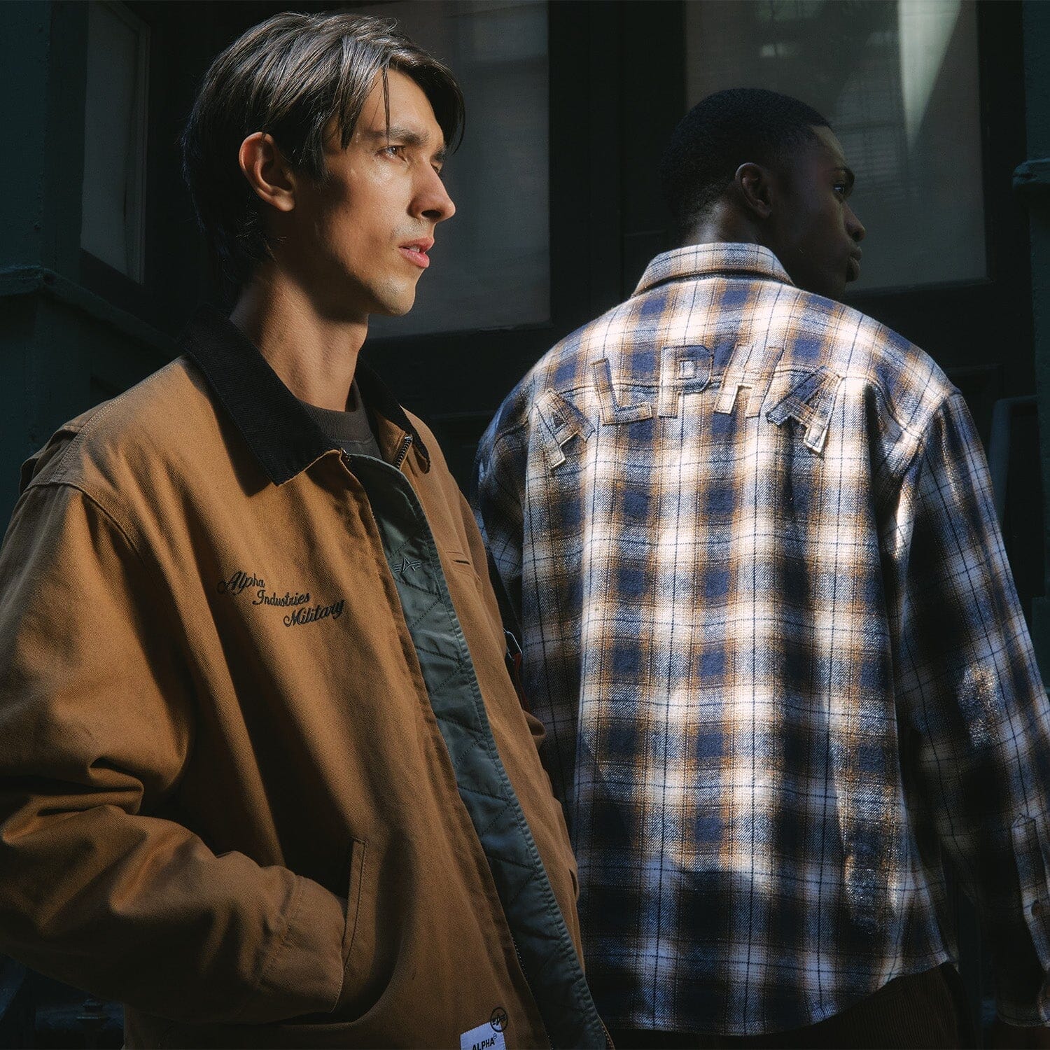 FALL TRANSITIONAL