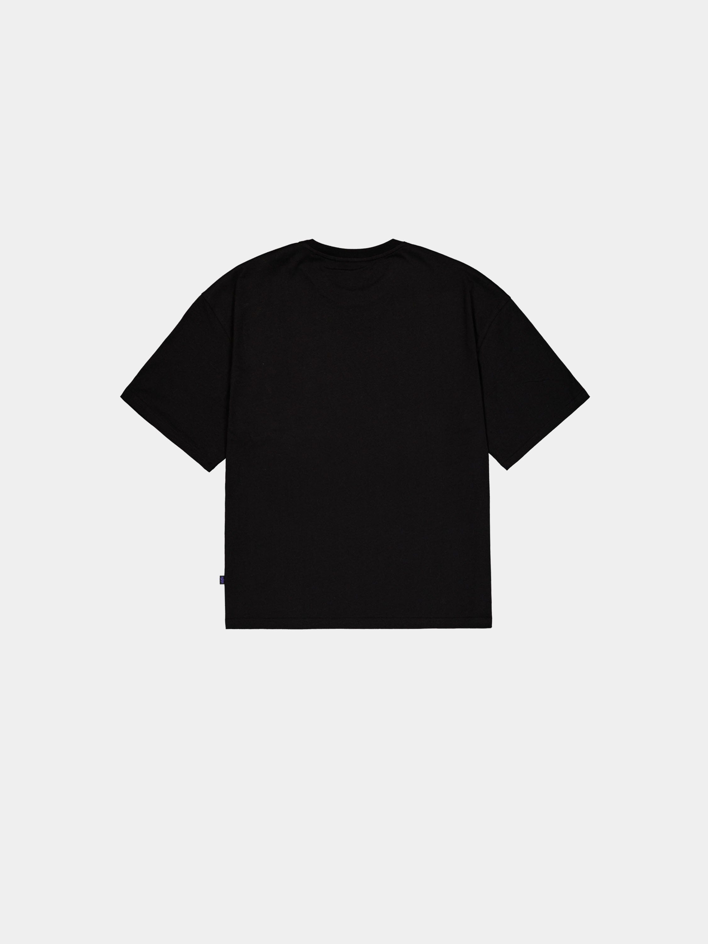 DESERT T-SHIRT T-SHIRT Alpha Industries 