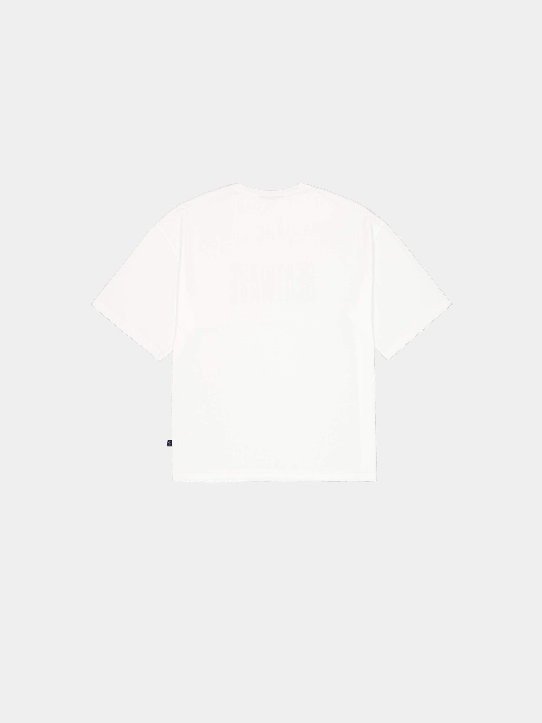 DESERT T-SHIRT T-SHIRT Alpha Industries 