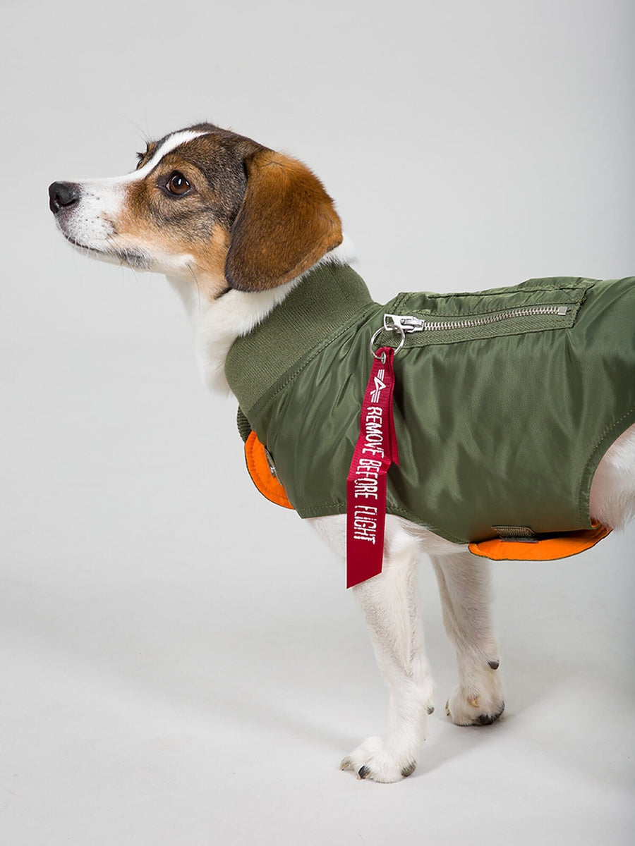DOG MA-1 NYLON FLIGHT JACKET OUTERWEAR Alpha Industries SAGE S 