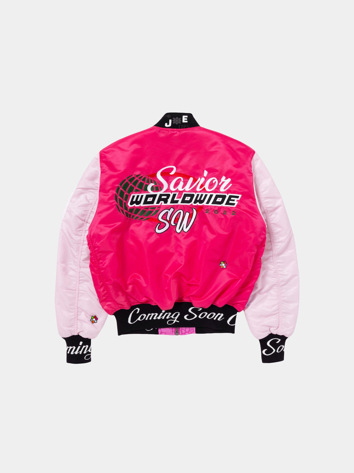 Jae Tips x Alpha B-15 BOMBER JACKET - Back