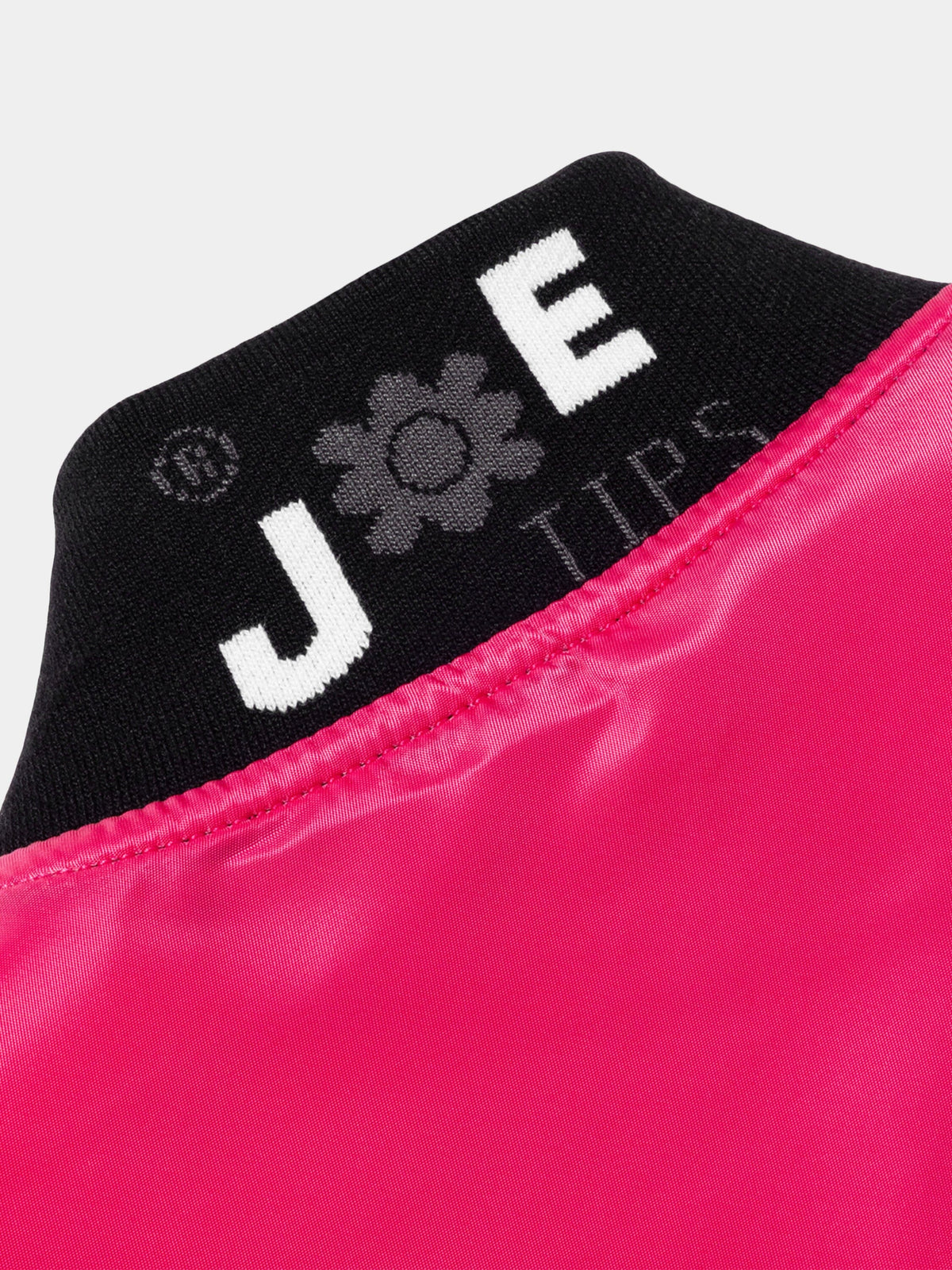 Jae Tips x Alpha B-15 BOMBER JACKET - Detail: collar rib logo