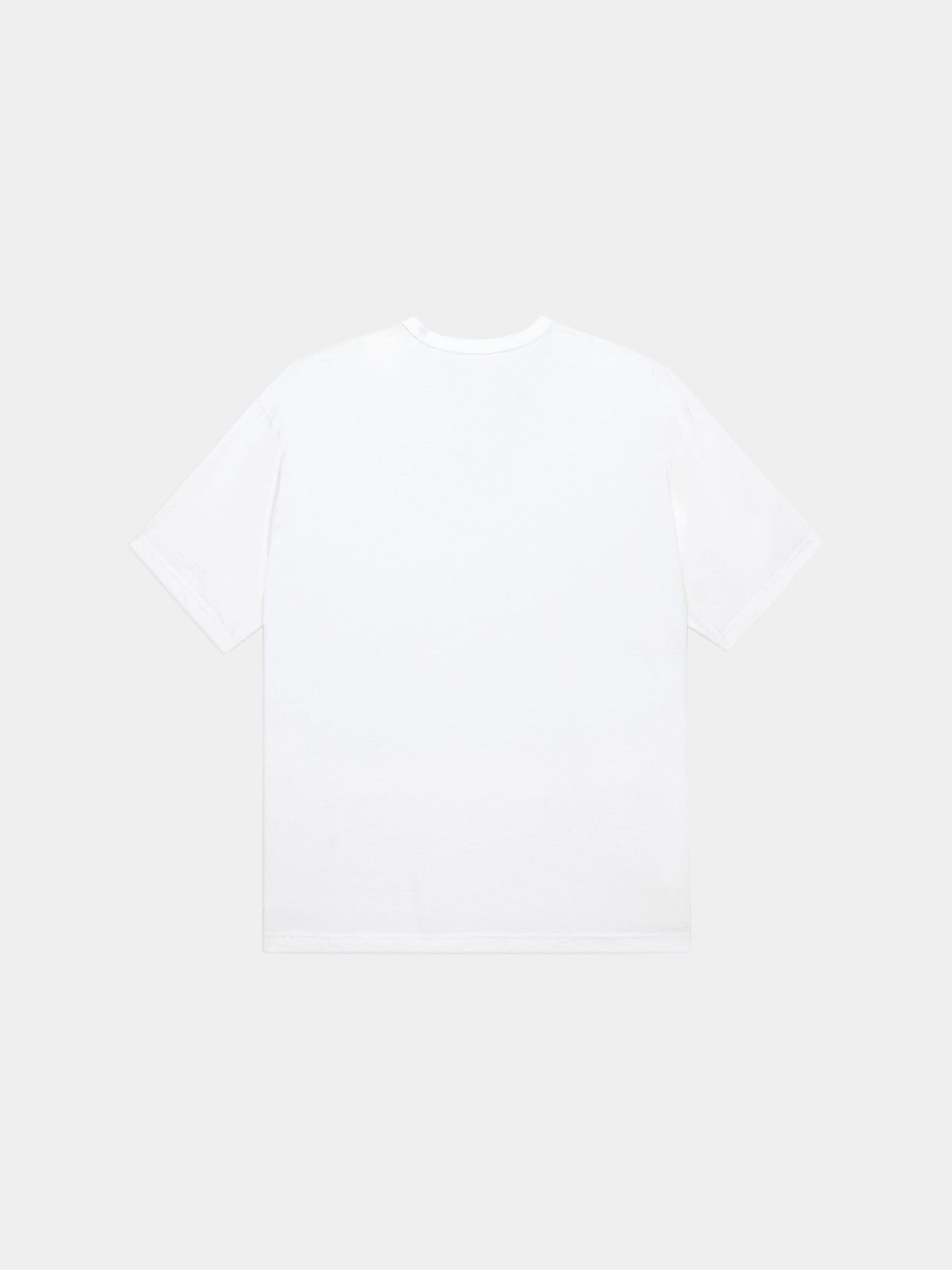 RELAXED COLLEGIATE A TEE TOPS Alpha Industries 