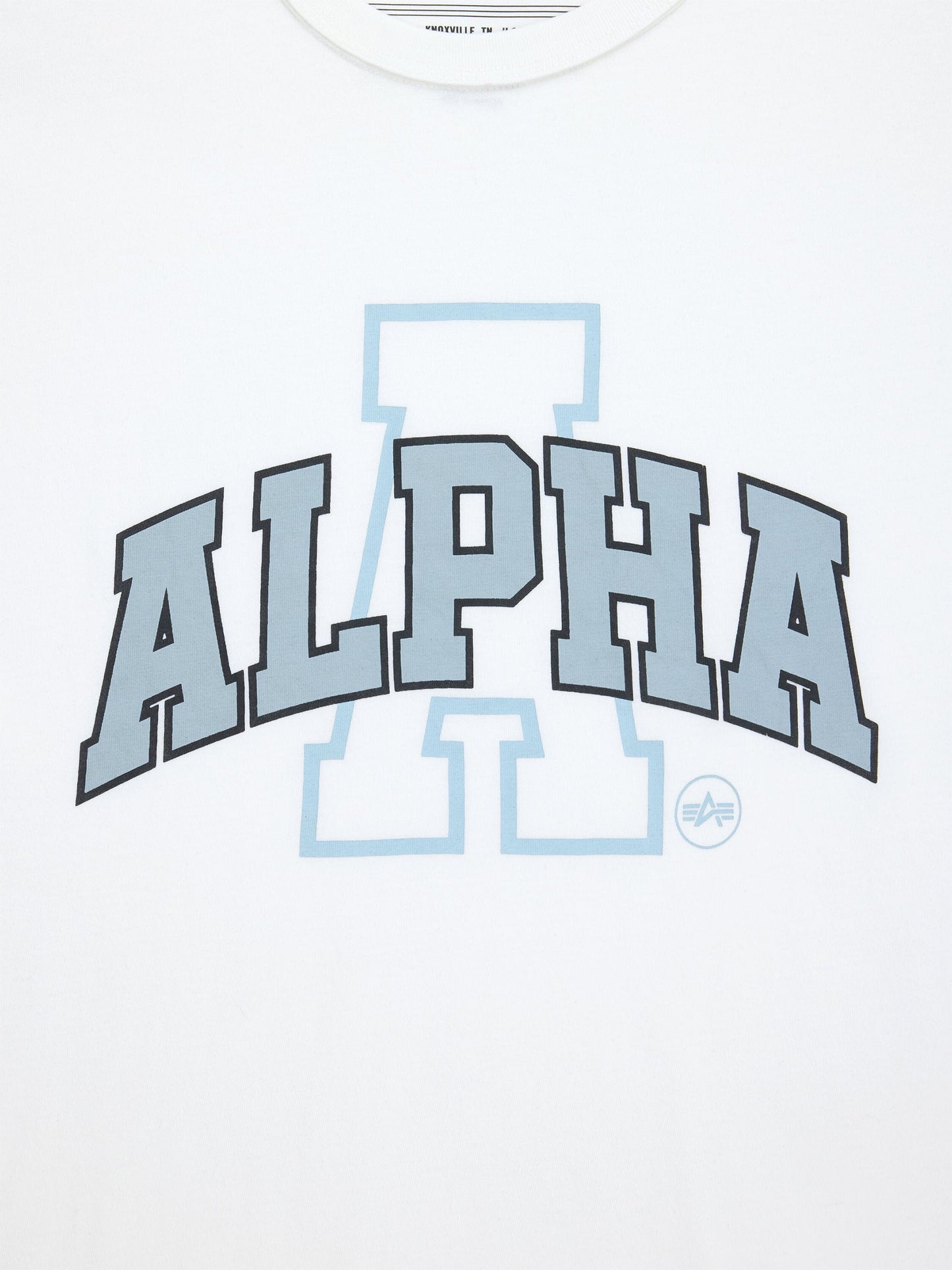 RELAXED COLLEGIATE A TEE TOPS Alpha Industries 