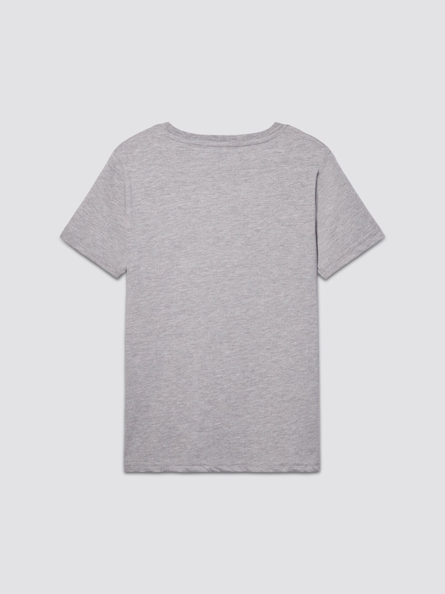 Youth Basic Tee by Alpha Industries, short-sleeved light gray cotton shirt.